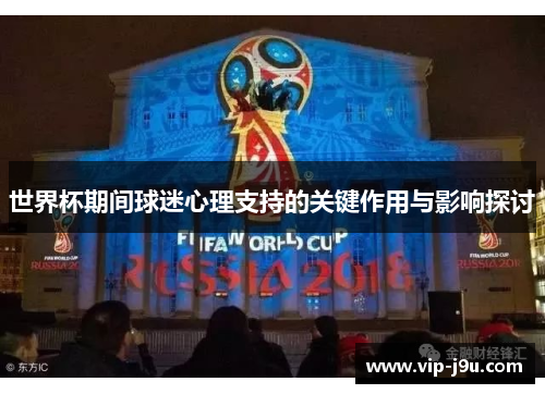世界杯期间球迷心理支持的关键作用与影响探讨