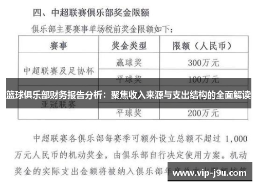 篮球俱乐部财务报告分析：聚焦收入来源与支出结构的全面解读