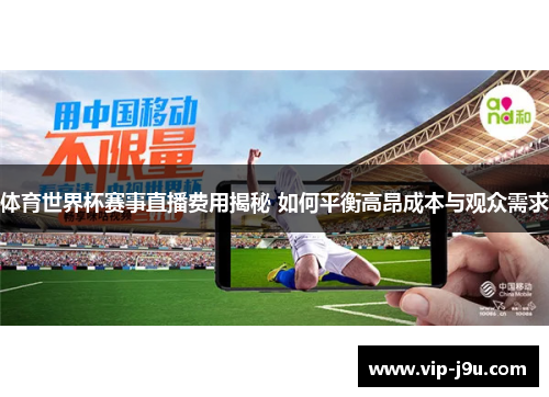 体育世界杯赛事直播费用揭秘 如何平衡高昂成本与观众需求