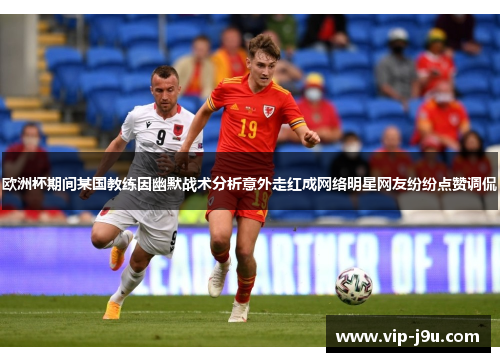 欧洲杯期间某国教练因幽默战术分析意外走红成网络明星网友纷纷点赞调侃