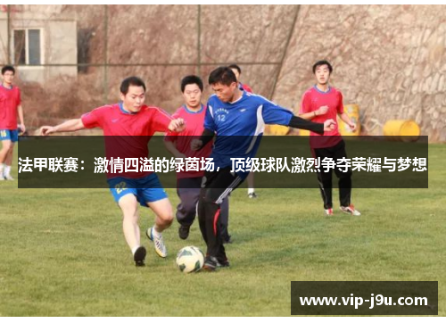 法甲联赛：激情四溢的绿茵场，顶级球队激烈争夺荣耀与梦想