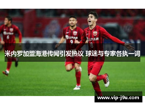 米内罗加盟海港传闻引发热议 球迷与专家各执一词