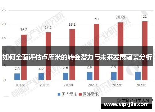 如何全面评估卢库米的转会潜力与未来发展前景分析