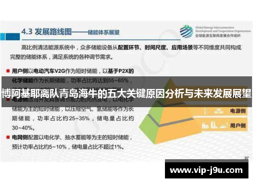 博阿基耶离队青岛海牛的五大关键原因分析与未来发展展望