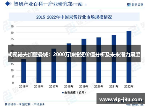 胡桑诺夫加盟曼城：2000万镑投资价值分析及未来潜力展望