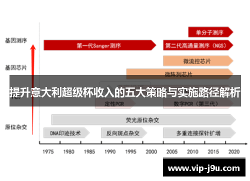 提升意大利超级杯收入的五大策略与实施路径解析
