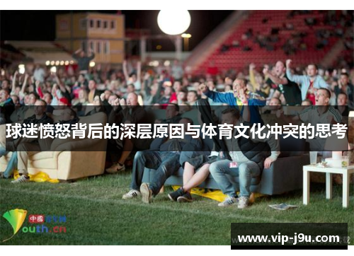 球迷愤怒背后的深层原因与体育文化冲突的思考