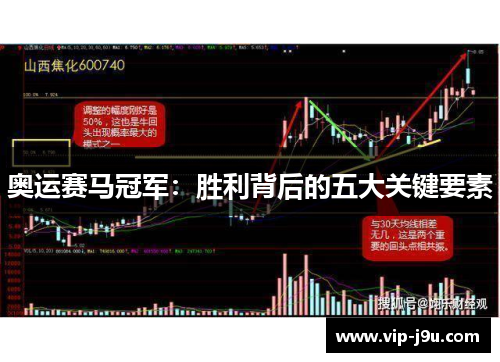 奥运赛马冠军：胜利背后的五大关键要素